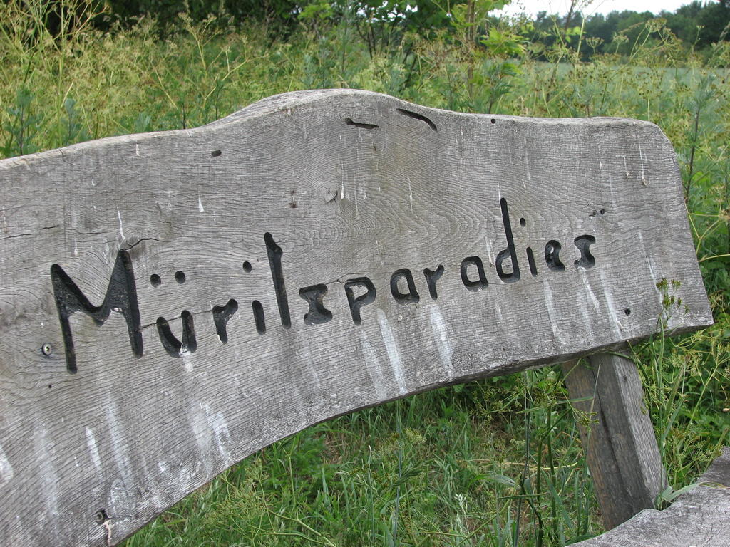 Müritzparadies