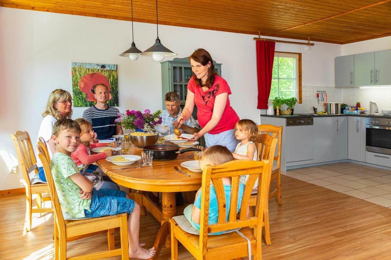 Müritzparadies Ferienhaus